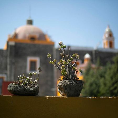 Majikal B&B - La Dona Cholula Luaran gambar